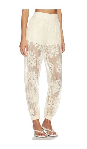 Faya Pant in Cream. - size M (also in L, XL) - Steve Madden - Modalova