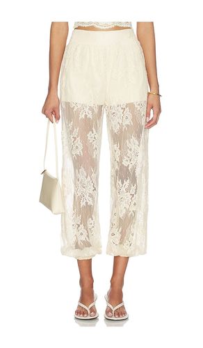 Faya Pant in Cream. - size M (also in L, XL) - Steve Madden - Modalova