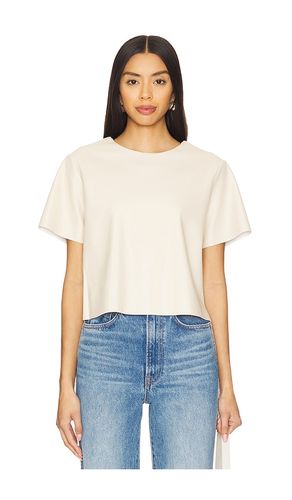 Ezra top en color ivory talla L en - Ivory. Talla L (también en M, S, XL, XS) - Steve Madden - Modalova