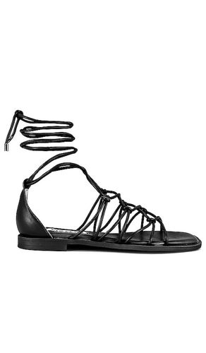 Ainsley Sandal in . - size 7.5 (also in 9.5) - Steve Madden - Modalova