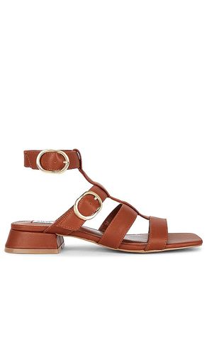 Aylin Sandal in . - size 6 (also in 7.5, 8.5, 9) - Steve Madden - Modalova