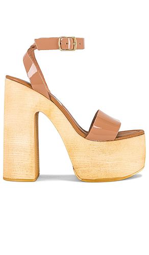 Alessia Platform in Tan. - size 10 (also in 11) - Steve Madden - Modalova