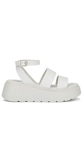 Tenysi Sandal in . - size 10 (also in 9) - Steve Madden - Modalova