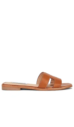 Hadyn Slide in Brown. - size 6 (also in 5.5, 6.5, 7.5, 8, 8.5, 9, 9.5) - Steve Madden - Modalova