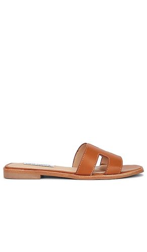 Hadyn Slide in Brown. - size 6 (also in 5.5, 6.5, 7, 9) - Steve Madden - Modalova