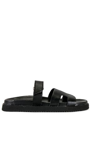 Mayven Slide in Black. - size 10 (also in 5.5, 6, 6.5, 7, 7.5, 8, 8.5, 9, 9.5) - Steve Madden - Modalova