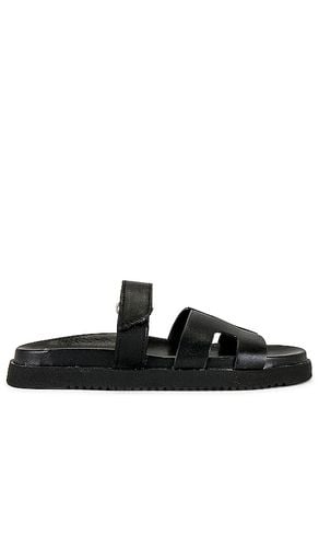 Mayven Slide in Black. - size 5.5 (also in 6, 6.5, 7, 7.5, 8, 8.5, 9, 9.5) - Steve Madden - Modalova