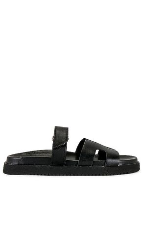 Mayven Slide in Black. - size 6 (also in 5.5, 6.5, 7, 7.5, 8, 8.5, 9) - Steve Madden - Modalova