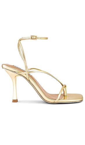 Annie Heel in Metallic Gold. - size 10 (also in 6.5, 7.5, 9.5) - Steve Madden - Modalova