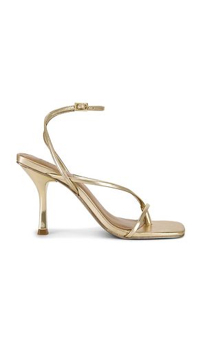 Annie Heel in Metallic Gold. - size 10 (also in 6, 9, 9.5) - Steve Madden - Modalova