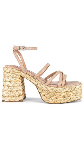 Belise Sandal in Cream. - size 10 (also in 9.5) - Steve Madden - Modalova