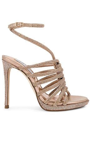 Givinn Heel in Metallic Gold. - size 10 (also in 9.5) - Steve Madden - Modalova