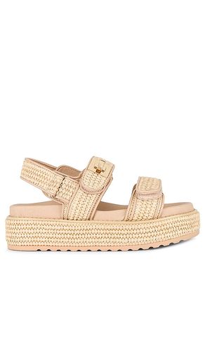 Bigmona Platform in Beige. - size 10 (also in 5.5, 6, 6.5, 7, 8.5, 9, 9.5) - Steve Madden - Modalova