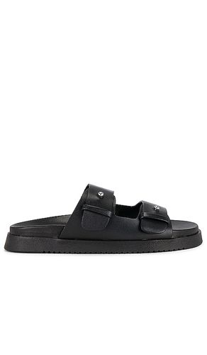 Mariel Sandal in Black. - size 10 (also in 6, 6.5, 7.5, 8.5) - Steve Madden - Modalova