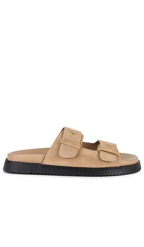 Mariel Sandal in Taupe. - size 10 (also in 7.5, 8.5, 9.5) - Steve Madden - Modalova
