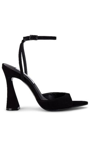 Beki Heel in Black. - size 10 (also in 6.5, 7.5, 8.5, 9.5) - Steve Madden - Modalova