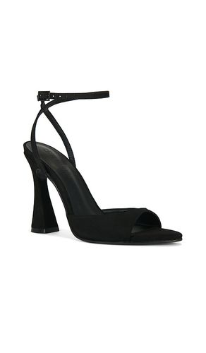 Beki Heel in Black. - size 8 (also in 9, 9.5) - Steve Madden - Modalova