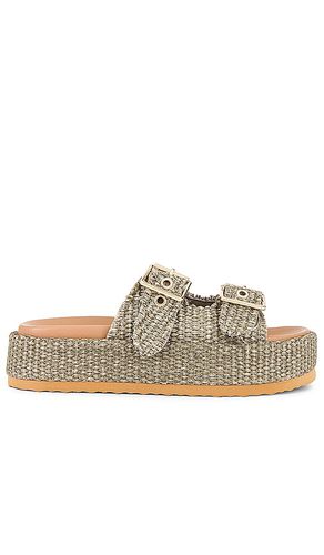 Karrigan Sandal in . - size 10 (also in 6.5, 8, 8.5, 9.5) - Steve Madden - Modalova