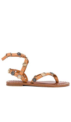 Recent Sandal in Cognac. - size 6 (also in 7.5, 9.5) - Steve Madden - Modalova