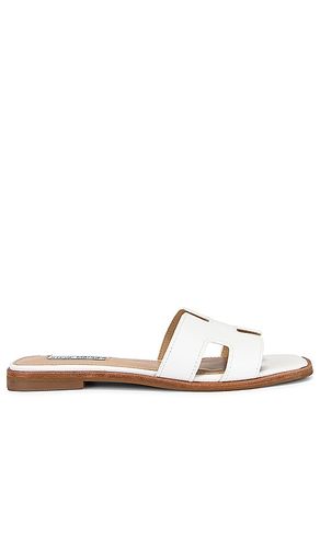 Hadyn Sandal in White. - size 10 (also in 5.5, 6.5, 7, 7.5, 8, 8.5, 9) - Steve Madden - Modalova