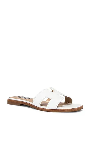 Hadyn Sandal in . Size 5.5. Also in 6, 6.5, 7, 7.5, 8, 8.5, 9, 9.5 - Steve Madden - Modalova