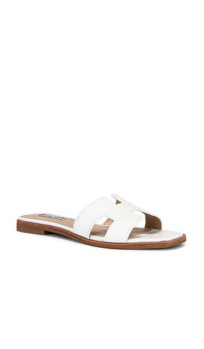 Hadyn Sandal in White. - size 6 (also in 6.5, 7, 7.5, 8, 8.5, 9, 9.5) - Steve Madden - Modalova
