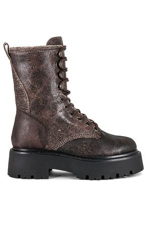 Rowen Boot in Chocolate. - size 6 (also in 6.5, 7.5, 9) - Steve Madden - Modalova