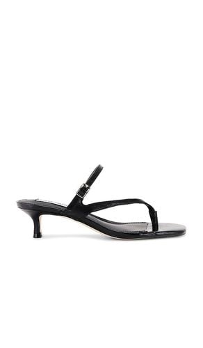 Jessa Heel in Black. - size 6 (also in 7.5) - Steve Madden - Modalova