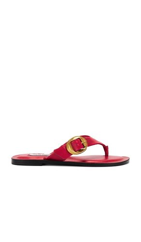 Rays in Red. - size 6 (also in 6.5, 8.5) - Steve Madden - Modalova