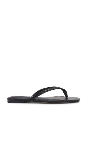 Marnie Flip Flops in . - size 10 (also in 6, 6.5, 7, 7.5, 8, 8.5, 9, 9.5) - Steve Madden - Modalova