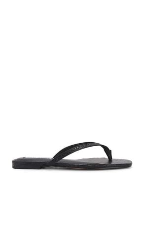 Marnie Flip Flops in . - size 10 (also in 6, 6.5, 7, 7.5, 8, 8.5, 9) - Steve Madden - Modalova