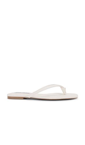 Marnie Flip Flops in White. - size 10 (also in 6, 6.5, 7, 7.5, 8, 8.5, 9, 9.5) - Steve Madden - Modalova