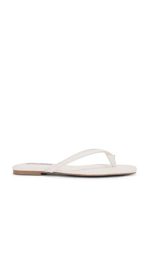 Marnie Flip Flops in White. - size 10 (also in 6, 9) - Steve Madden - Modalova