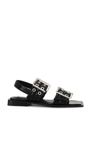 Sandria Sandal in Black. - size 6.5 (also in 7.5) - Steve Madden - Modalova