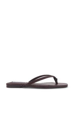 Marnie Flip Flops in . - size 10 (also in 6, 6.5, 7, 7.5, 8, 8.5, 9, 9.5) - Steve Madden - Modalova