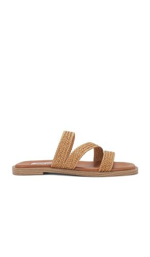 Parkley Sandal in Tan. - size 10 (also in 11, 6, 7, 8, 9) - Steve Madden - Modalova