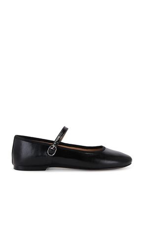 Vinetta Flat in Black. - size 10 (also in 8.5) - Steve Madden - Modalova