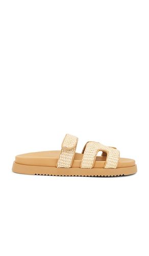 Mayven Sandal in in Black. - size 7.5 (also in 9.5) - Steve Madden - Modalova