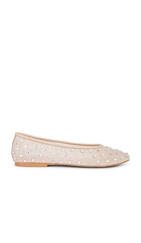 Viv Flat in Neutral. - size 7.5 (also in 8.5, 9.5) - Steve Madden - Modalova