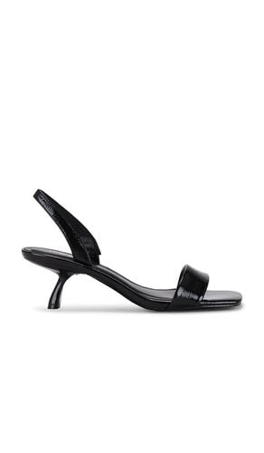 Sling Back in Black. - size 5.5 (also in 6, 7.5) - Steve Madden - Modalova