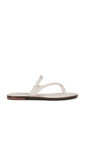 Roca Sandal in White. - size 10 (also in 6, 6.5, 7, 7.5, 8, 8.5, 9, 9.5) - Steve Madden - Modalova