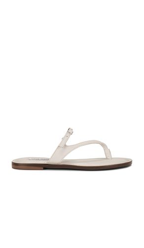 Roca Sandal in White. - size 10 (also in 6) - Steve Madden - Modalova