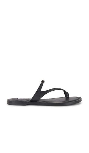 Roca Sandal in Black. - size 10 (also in 6, 6.5, 7, 7.5, 8, 8.5, 9, 9.5) - Steve Madden - Modalova