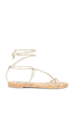 Myrtle Sandal in Metallic Gold. - size 10 (also in 6, 6.5, 7, 7.5, 8, 8.5, 9, 9.5) - Steve Madden - Modalova