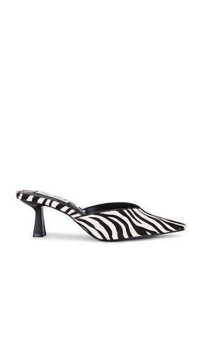 Mod Mule in Black,White. - size 6 (also in 6.5, 7, 7.5, 8, 8.5) - Steve Madden - Modalova