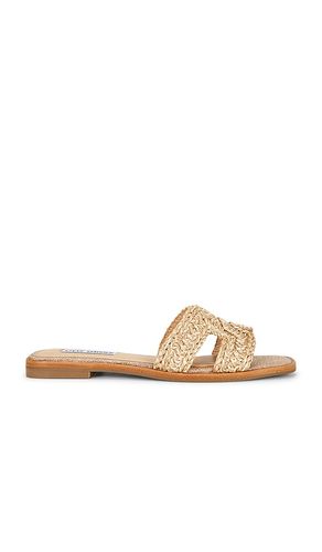 Hadyn Sandal in Cognac. - size 10 (also in 11, 6, 6.5, 7, 7.5, 8, 8.5, 9, 9.5) - Steve Madden - Modalova