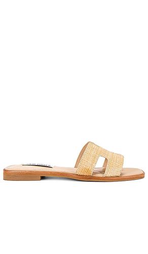 Hadyn Sandal in Cognac. - size 6 (also in 6.5, 7.5, 8, 8.5, 9) - Steve Madden - Modalova
