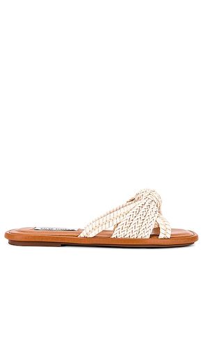 Kandace Sandal in White. - size 6 (also in 8, 8.5) - Steve Madden - Modalova