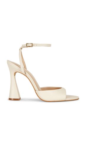 Beki Heel in . Size 10. Also in 8.5, 9.5 - Steve Madden - Modalova