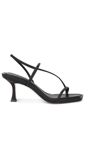 Locke Heel in . - size 10 (also in 6, 7, 7.5, 8, 8.5, 9, 9.5) - Steve Madden - Modalova
